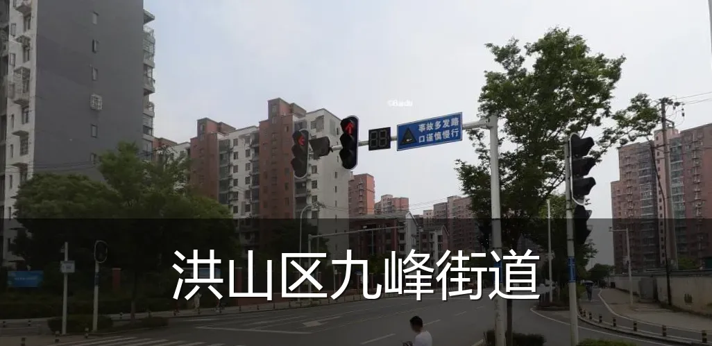 洪山区九峰街道