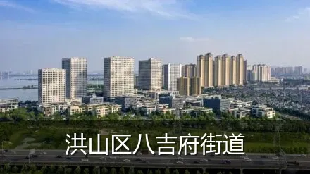 洪山区八吉府街道