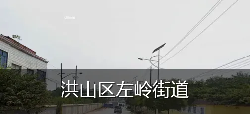 洪山区左岭街道