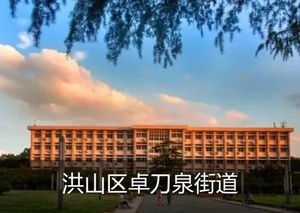 洪山区卓刀泉街道
